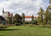 Městský park Český Krumlov – doplnění zeleně, foto: Lubor Mrázek