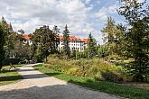 Městský park Český Krumlov – doplnění zeleně, foto: Lubor Mrázek